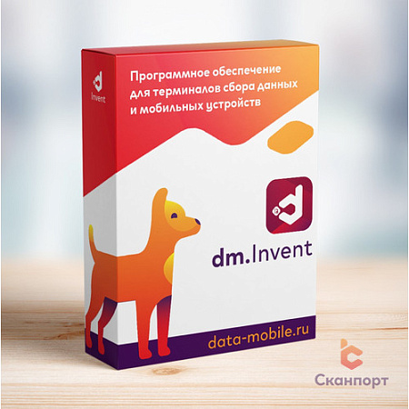 DMI:  DM.Основные средства: Invent - LifeTime